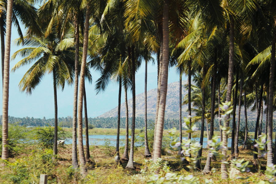 Day 03: South Goa sightseeing