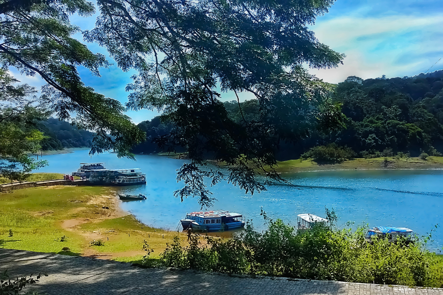 Day 03: Munnar to Thekkady