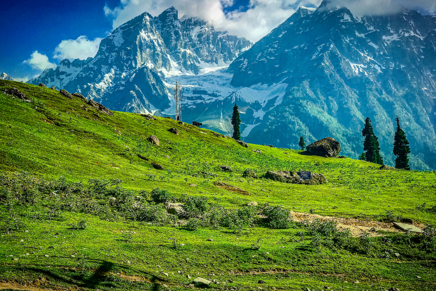 Day 05: Departure from Srinagar