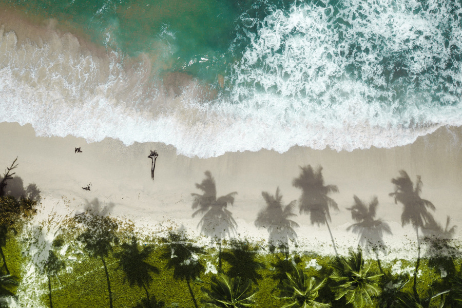 Day 1: ARRIVE PORTBLAIR