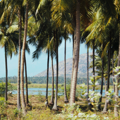 Kerala