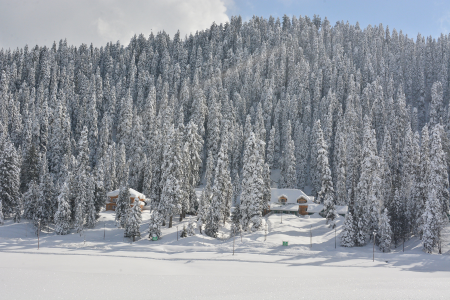 4N & 5D Kashmir Honeymoon Package