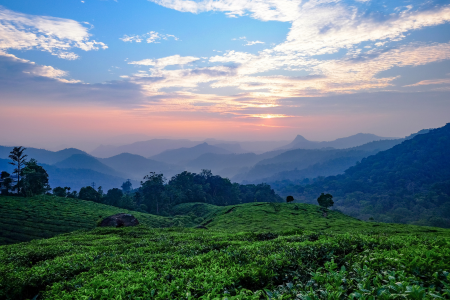 3N & 4DTour To Mesmerizing Munnar