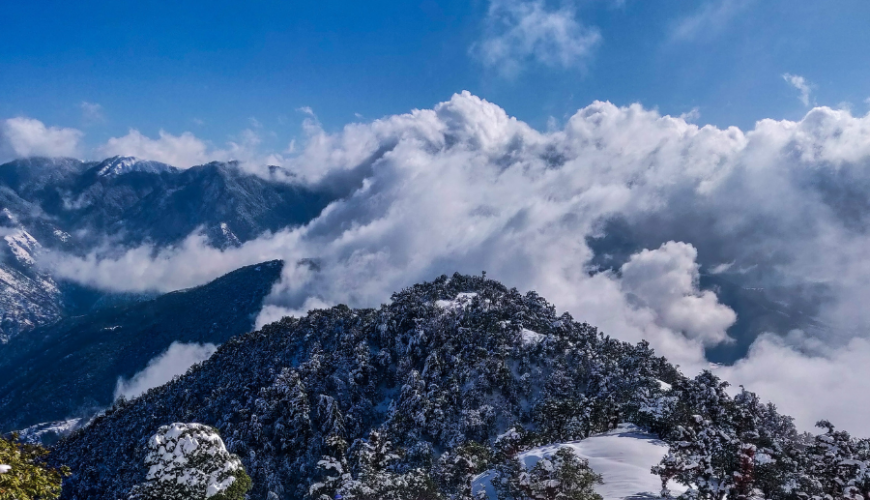 Travel Management Company