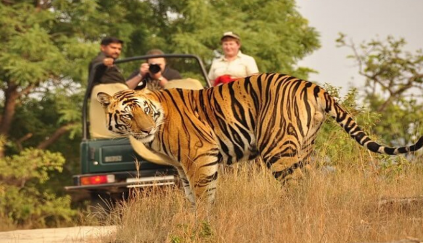 Travel Management Company