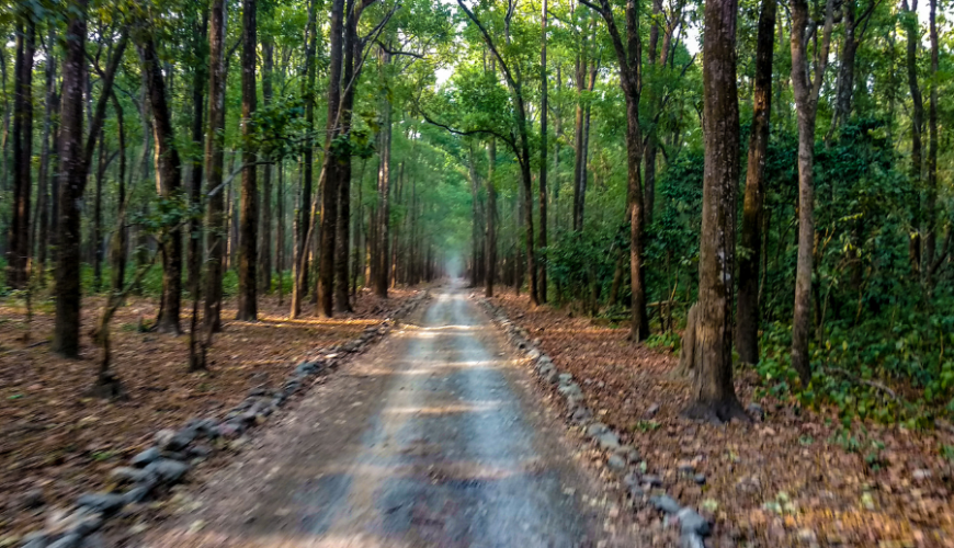 Travel Management Company